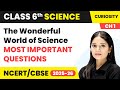 The Wonderful World Of Science Most Important Questions Class 6 Science Chapter 1 CBSE 2025 26
