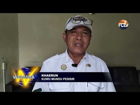 Kuwu Mundu Pesisir Ingin Wisata Mangrove Lebih Terpromosikan