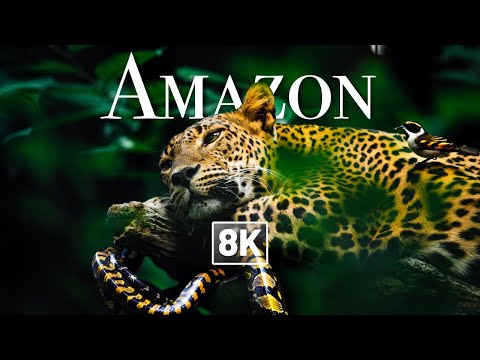 🤯 [ 8K ] AMAZING ANIMALS of AMAZON in 8K Ultra HD (8K Drone Video)(Relaxing Music)