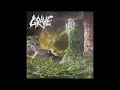 Grave - Extremely Rotten Flesh (1991)