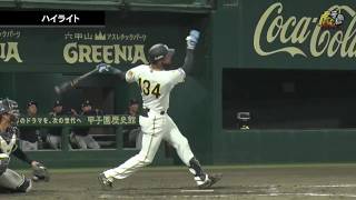 【ハイライト】7/17(金) 神2－4オ（ＳＧＬ）| 終盤に反撃！8回、榮枝タイムリー！9回に代打コンスエグラが本塁打！