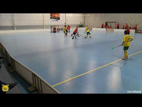 Maalikooste P12 PIsku - Ilves 14.11.2021