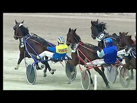 Napoli Trotto 20/02/2022 - 1ª corsa