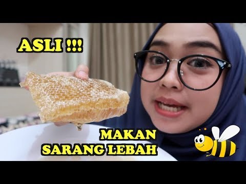 Makan sarang lebah asli part 1