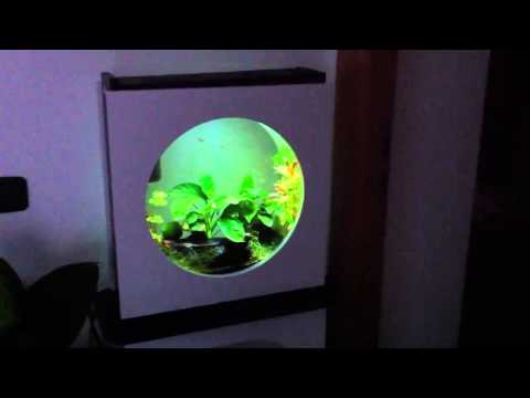 Watch Video on YouTube