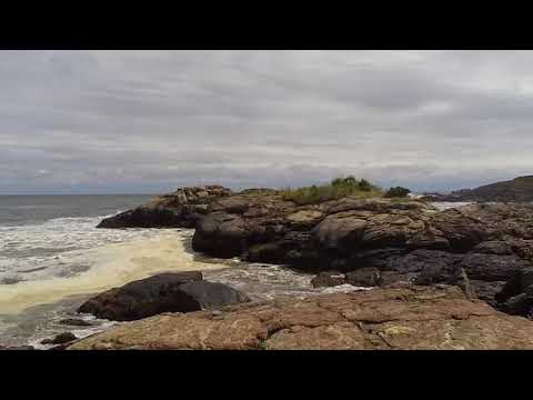 40 Steps Nahant