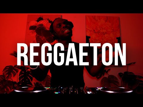 Reggaeton Mix 2025 | Don Omar, Bad Bunny, Wisin & Yandel, Daddy Yankee, Feid, Young Miko | by XOCO