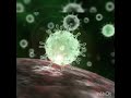 Corona Virus Song Gana Sudagar