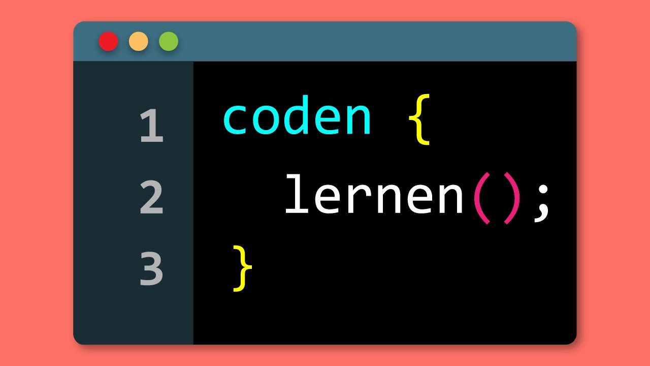 PROGRAMMIEREN LERNEN - So startest du!