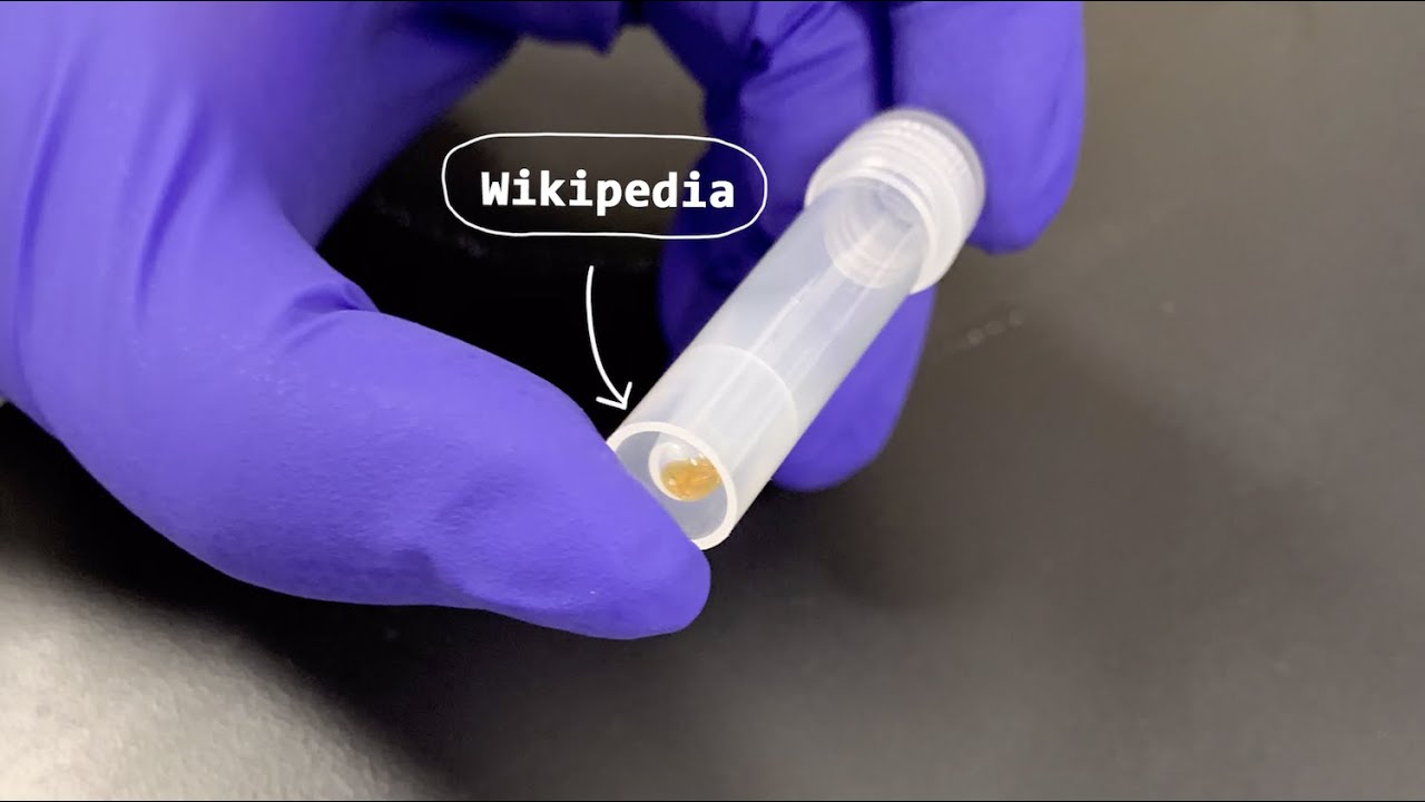 CATALOG puts WIkipedia into DNA - YouTube