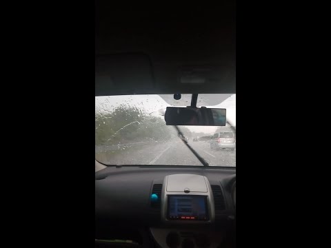 あなたの庭を雹から守るにはどうすればよいですか？被害を最小限に抑える5つの解決策＋その後の対処法！  庭園