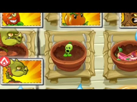 Pvz 2 Zen Garden Fire Plants Animations