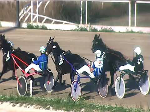 Trotto 09/11/2018 - 1ª corsa