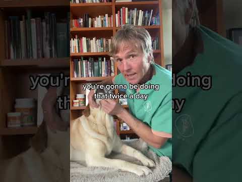 Pet skin infection? 2 Step Home Remedy