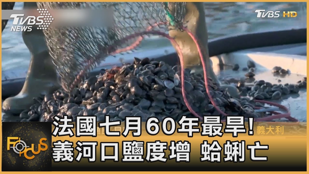 法國七月60年最旱!義河口鹽度增 蛤蜊亡