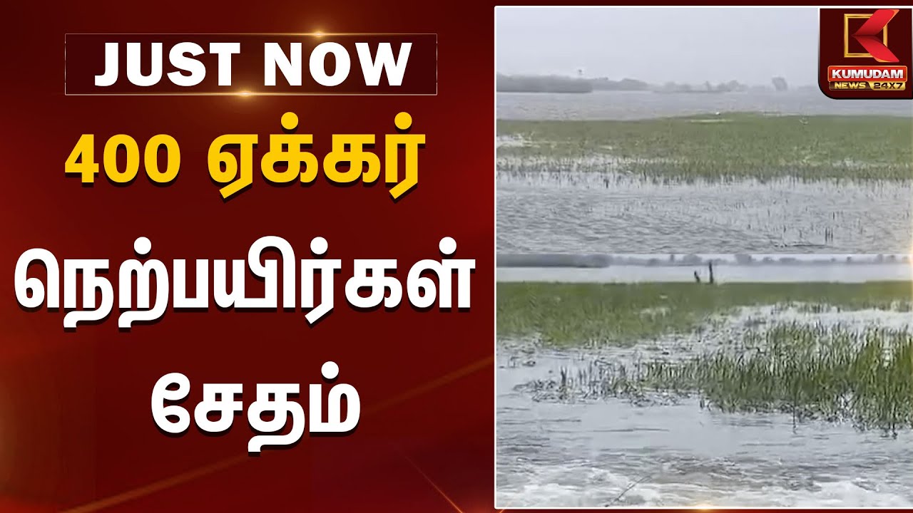 400 ஏக்கர் நெற்பயிர்கள் சேதம் | Tiruvallur | Ditwah Cyclone damages crops | TN Rains | Kumudam News