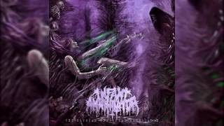 Infant Annihilator - Crucifilth *NEW 2016* w/ LYRICS