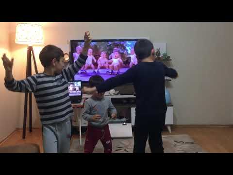 Erik dalı gevrektir