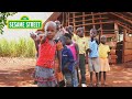 Sing The Shake Shake The Mango Tree Song Sesamestreet