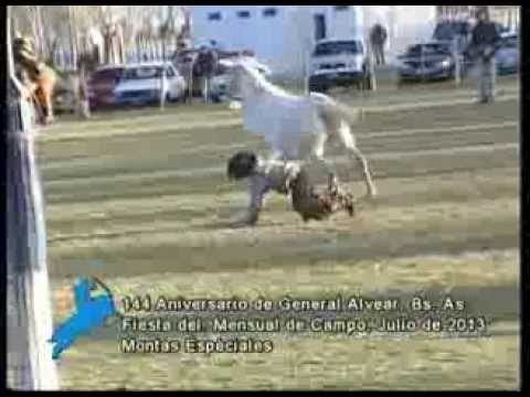 Montas especiales del Chueco Ferreyra  y Ricardo Fioramonti en Gral. Alvear, Bs. As.