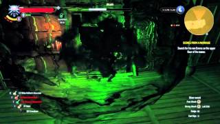 The Witcher 3: Hearts of Stone - How to kill Wraith from the Painting  / Iris in von Everec's manor?