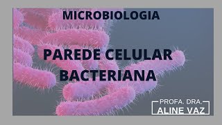 Parede celular bactéria | Bactérias | Microbiologia | Bactérias Gram-positivas | Gram-negativas