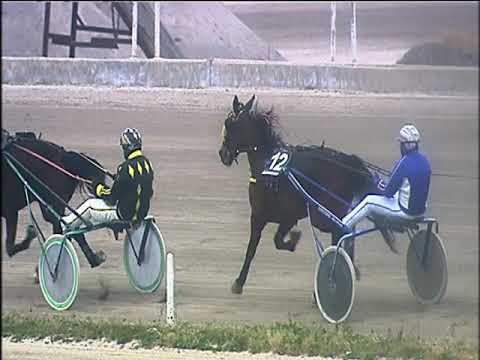 Trotto 14/01/2020 - 3ª corsa