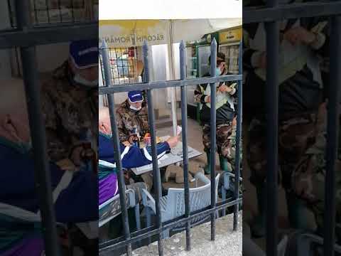 Săndulița după pescuit