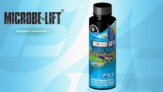microbe lift xtreme maidenhead