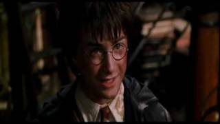 Harry/Voldemort - Follow Me Into The Night