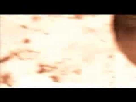 Ron Spielman "Paradise Island"