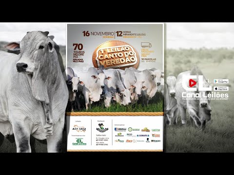 Canalleiloes.com | 1° LEILÃO CANTO DO VEREDÃO  | MIRANORTE TOCANTINS-TO