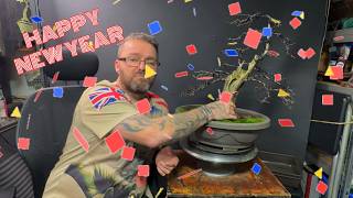 Repotting Hawthorn 🎉🥂 Happy New Year🎉🥂