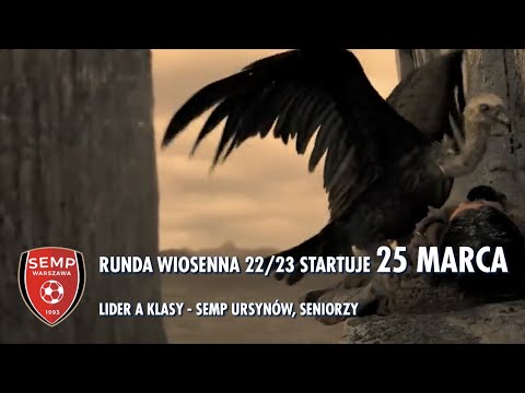 LIGA WRACA - SEMP seniorzy - gotowi na rundą wiosenną 2023