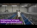 Konijnenfokker wil hogere straffen voor dierenactivisten