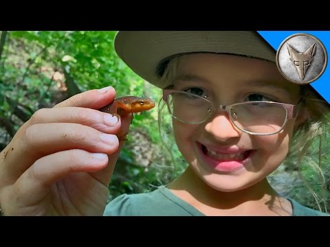 Brave Wilderness | Searching for Newts and Salamanders