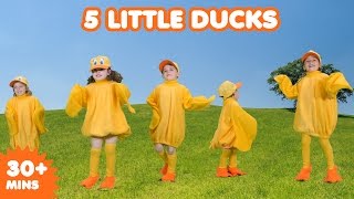 5 Little Ducks | Nursery Rhymes | Kids Songs