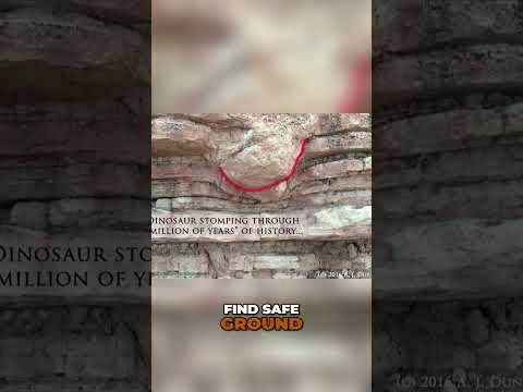 Dinosaur Extinction: The Zuni Mega-Sequence Explained