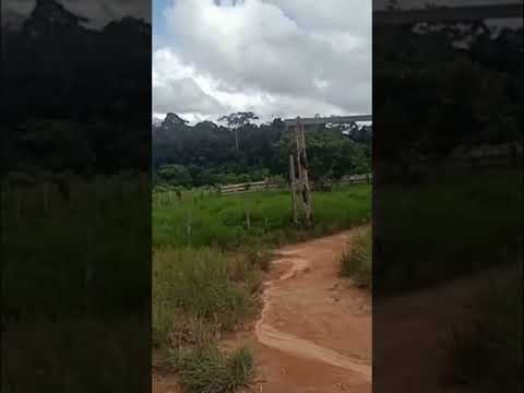 200 hectares no Pará Município de Ruropolis 1.700.milhões zap.91982165639