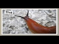 The Bear Went Over The Mountain Under The Boulder Episode 7