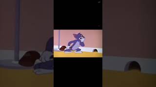 I wish you to come back #cute fight