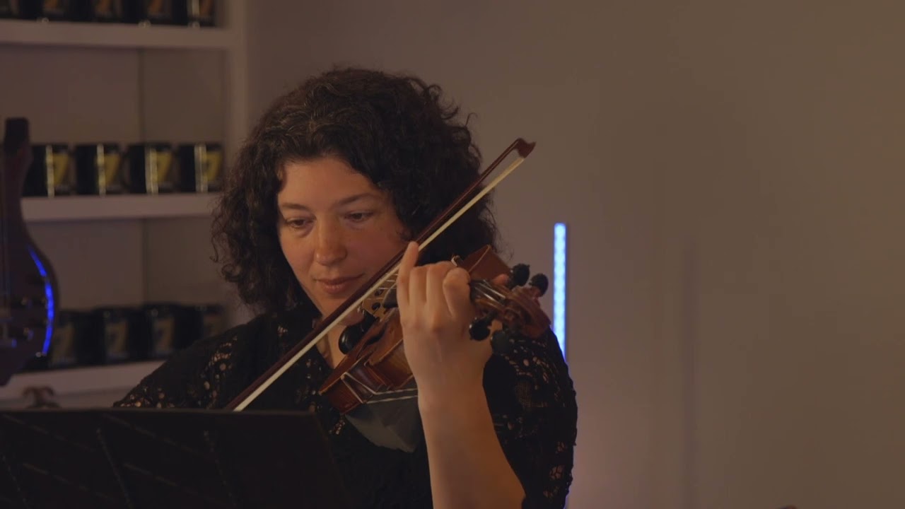 Promotional video thumbnail 2 for Amelia Muccia - Violinist