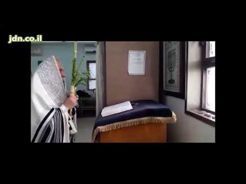 Botoshan Rebbe - Sukkos 5778