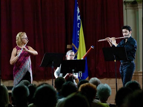 FRANZ JOSEPH HAYDN LONDON TRIO NO.1 FOR 2 FLUTES AND BASSOON - I. Allegro moderato