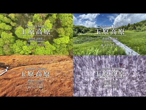 玉原高原　－四季－