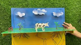 Nitrogen Cycle Working Model for School | Class 6 to 10 | Science Fair 2025 | Robowala