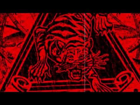 STELLAR TEMPLE - Helly Days - Live @ Le Grillen