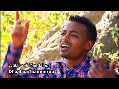 Sirbaa harawa  dhaabaa  Tamiru  kaan hayotaa  kenyaa nuuraa fixee new Ethiopian music 2013