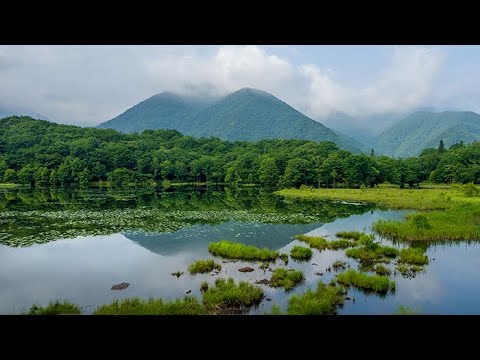夏の観音沼森林公園 | 福島県下郷町