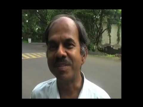 Welfare of Stray Dogs